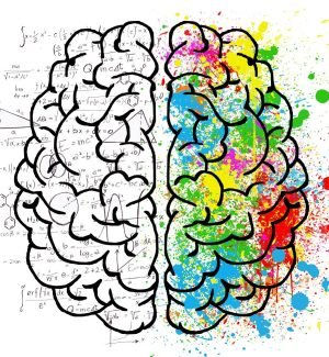 brain-2062057_1280 (1)